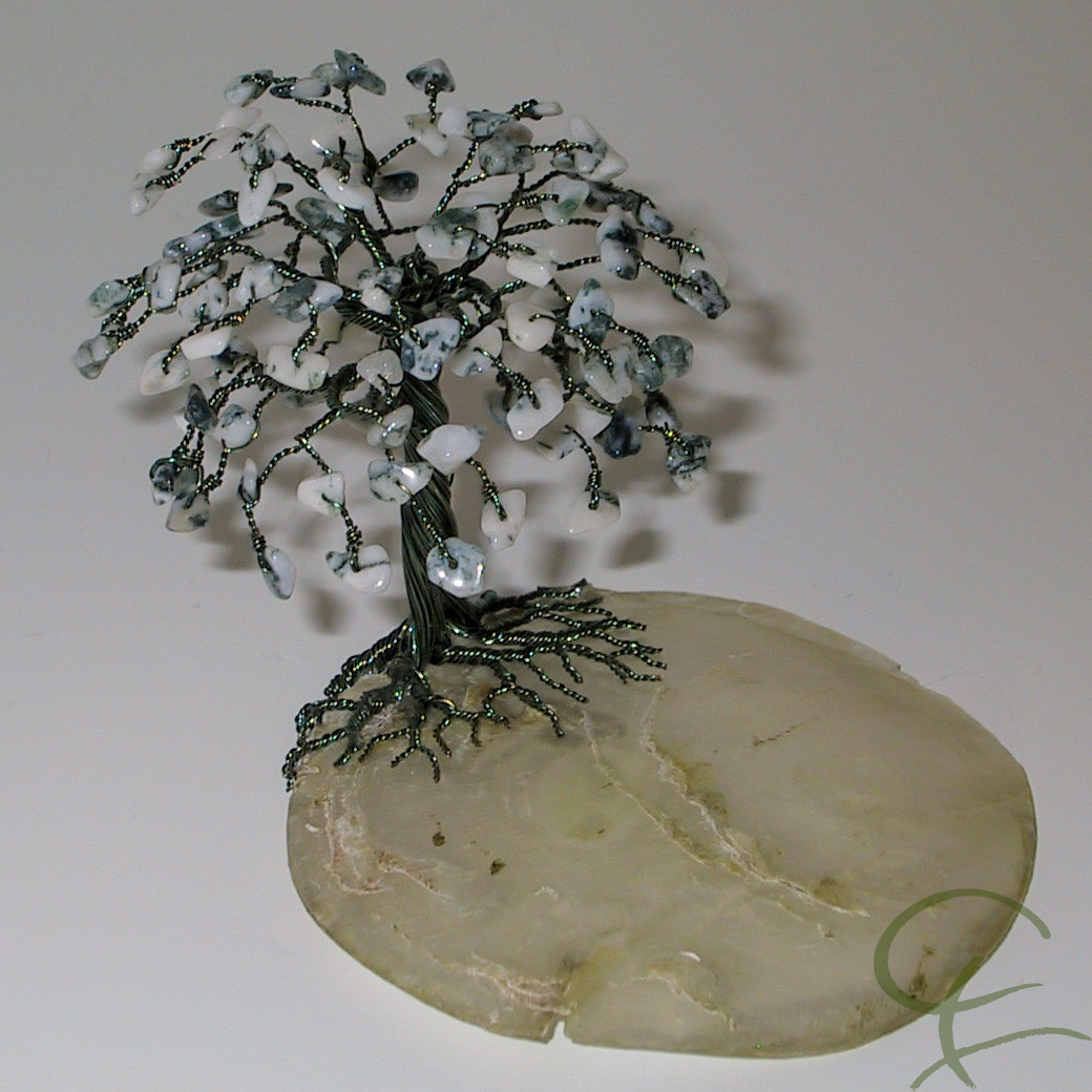 Steinbaum №147
