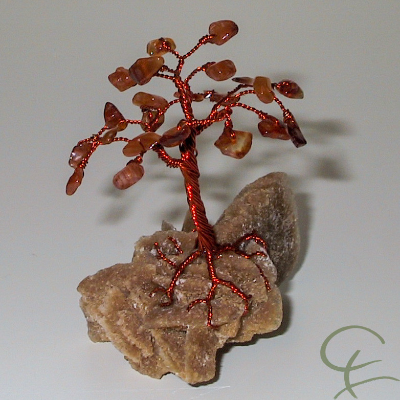 Steinbaum №173