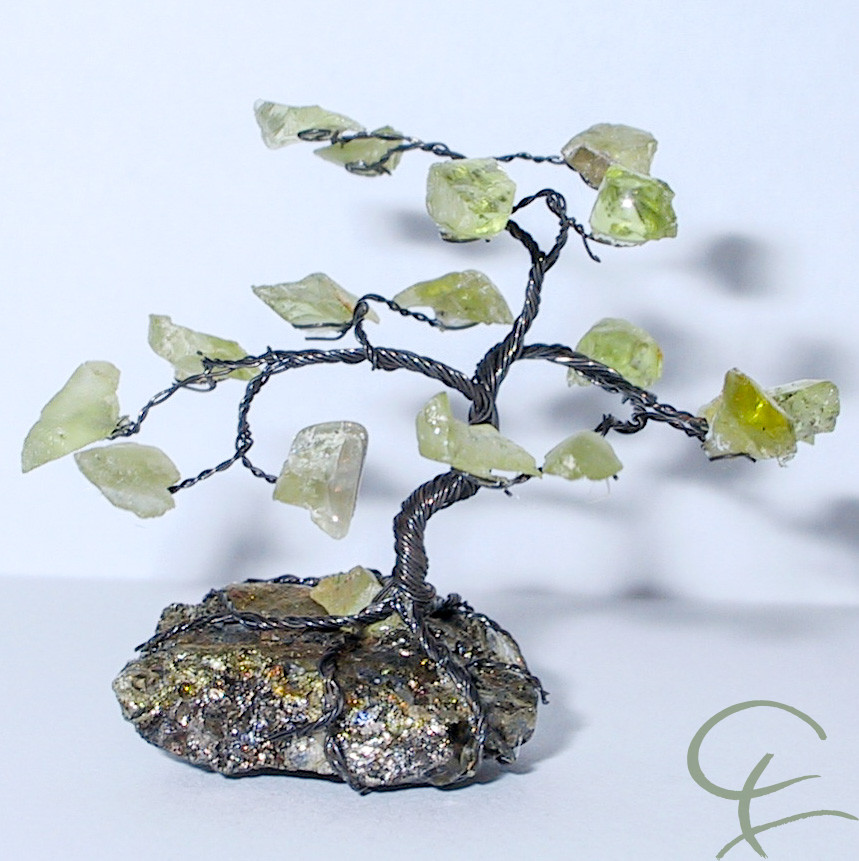 Steinbaum №6