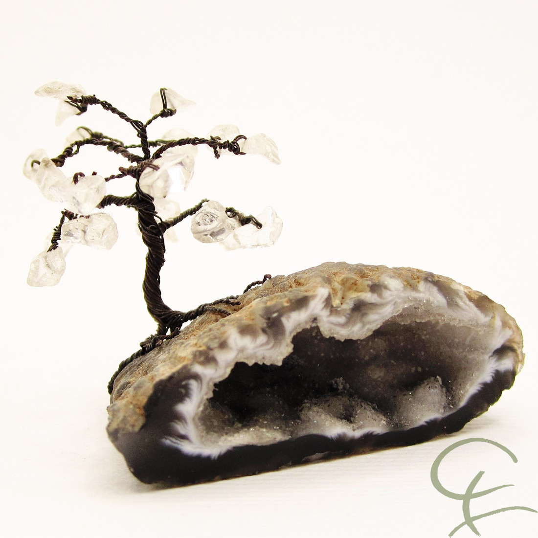 Steinbaum №61