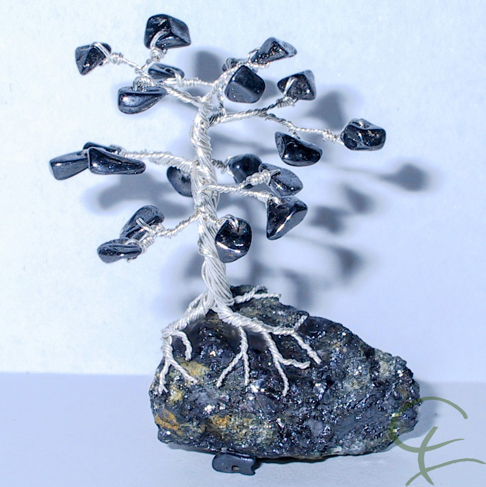 Steinbaum №66