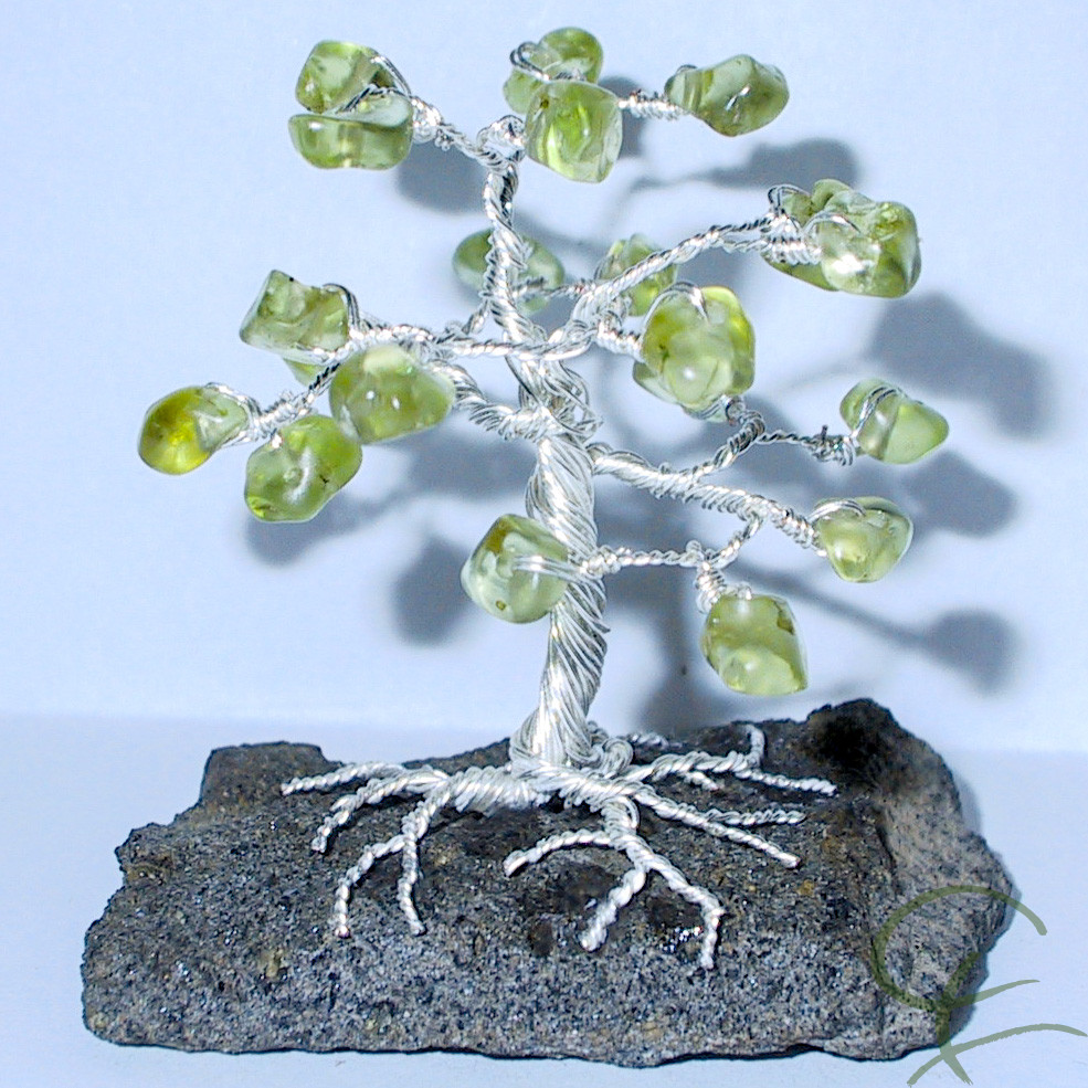 Steinbaum №67
