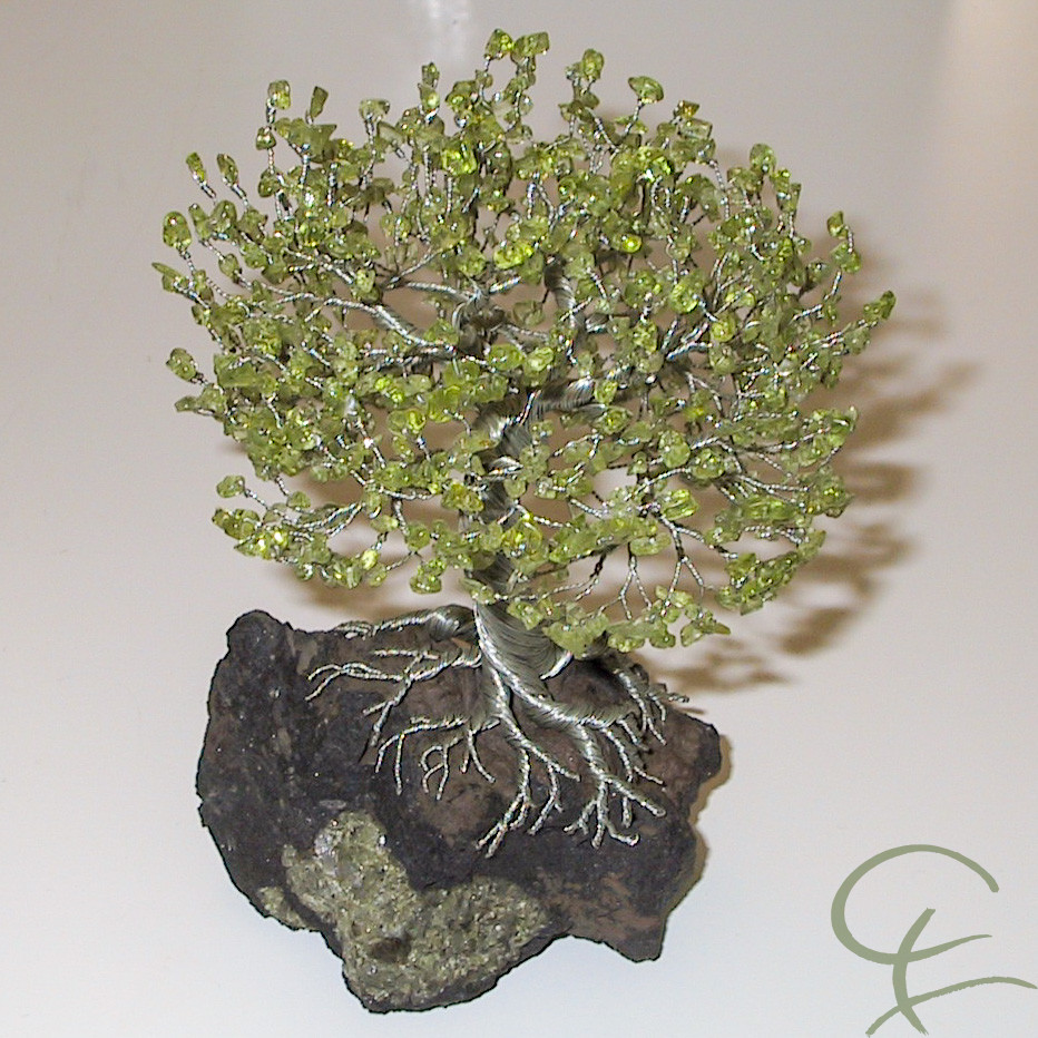 Steinbaum №95