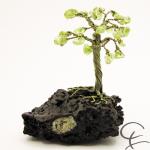 Steinbaum №141