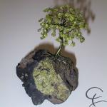 Steinbaum №142