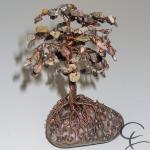 Steinbaum №145