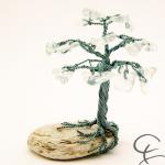Steinbaum №151