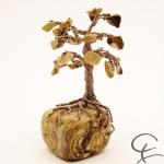 Steinbaum №109