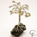 Steinbaum №231