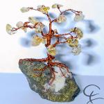 Steinbaum №56