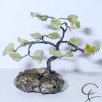 Steinbaum №6
